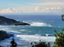 Load image into Gallery viewer, Mendocino Metamorphosis Retreat August 15-19 2024